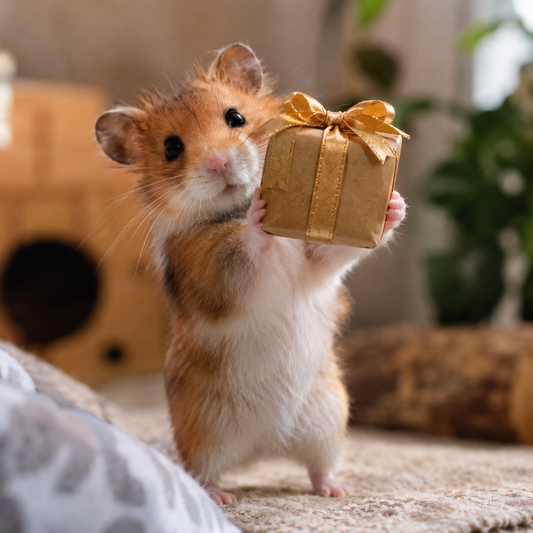 Diese TCGs erwarten euch bei Cardhamster im restlichen Jahr 2026!